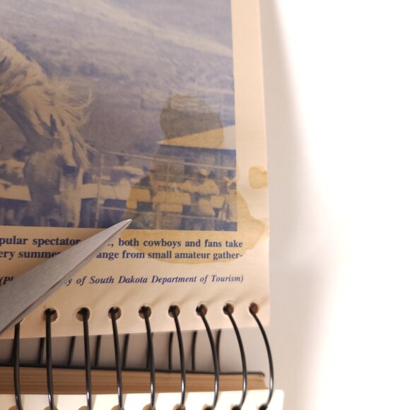 South Dakota Centennial Cookbook 1889-1989 SD Capitol Club Book‎ 5th Printing - Picture 12 of 15